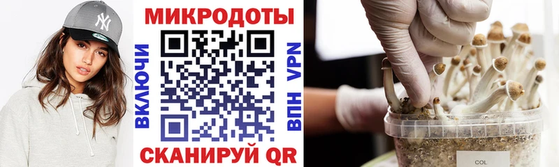 Псилоцибиновые грибы мухоморы  Купить  Муравленко 